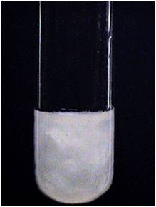Bi oh 2. Гидроксид магния 2 цвет осадка. Белый кристаллический осадок. Осадок белого цвета. Белый осадок гидроксида.